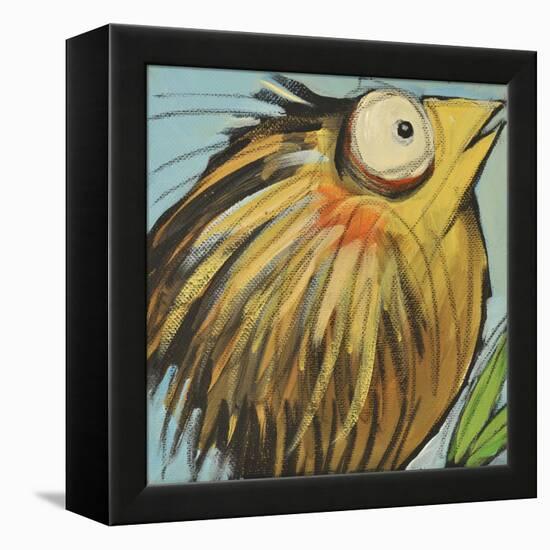 Feather Bird 25-Tim Nyberg-Framed Premier Image Canvas