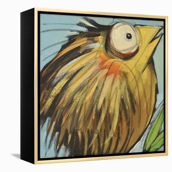 Feather Bird 25-Tim Nyberg-Framed Premier Image Canvas