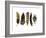 Feather Collection I - Luxe-Sandra Jacobs-Framed Giclee Print