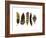 Feather Collection I - Luxe-Sandra Jacobs-Framed Giclee Print