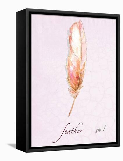 Feather Dance-Gregory Gorham-Framed Stretched Canvas