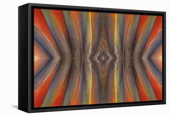 Feather Design of the Scarlet Macaw Feathers-Darrell Gulin-Framed Premier Image Canvas