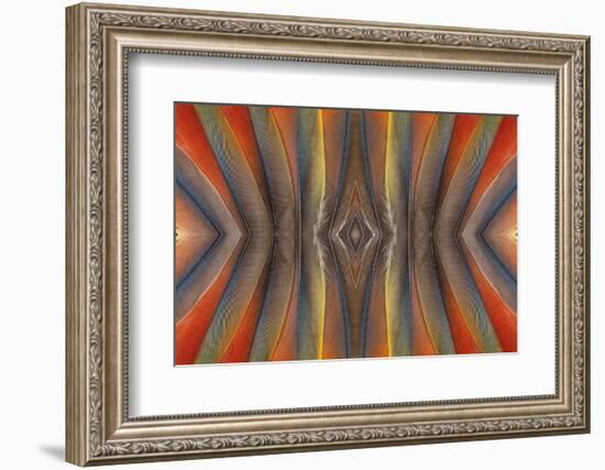 Feather Design of the Scarlet Macaw Feathers-Darrell Gulin-Framed Photographic Print
