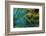 Feather Design-Darrell Gulin-Framed Photographic Print