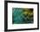 Feather Design-Darrell Gulin-Framed Photographic Print