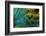 Feather Design-Darrell Gulin-Framed Photographic Print