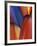 Feather Details of Scarlet Macaw, Honduras-Stuart Westmorland-Framed Photographic Print