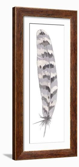 Feather Drift II-Sandra Jacobs-Framed Giclee Print