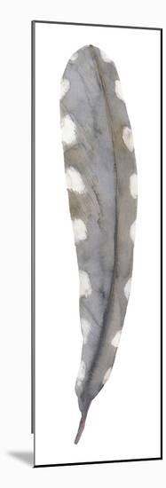 Feather Drift III-Sandra Jacobs-Mounted Giclee Print