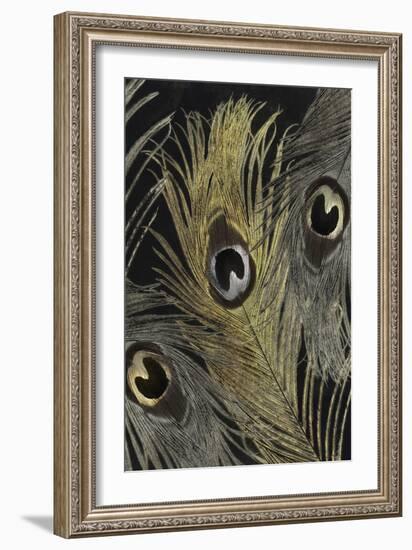 Feather Fashion II-Color Bakery-Framed Giclee Print