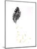 Feather {Fay-Erie Dust}, 2014-Bella Larsson-Mounted Giclee Print