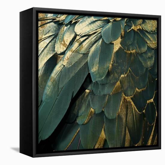 Feather Glitter-Color Bakery-Framed Premier Image Canvas