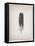 Feather I BW-Debra Van Swearingen-Framed Stretched Canvas