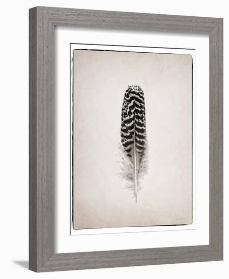 Feather I BW-Debra Van Swearingen-Framed Art Print