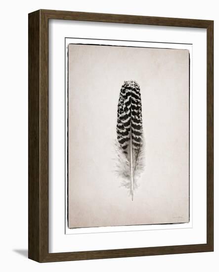 Feather I BW-Debra Van Swearingen-Framed Art Print