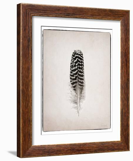Feather I BW-Debra Van Swearingen-Framed Art Print