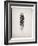 Feather I BW-Debra Van Swearingen-Framed Art Print