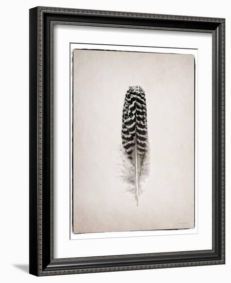 Feather I BW-Debra Van Swearingen-Framed Art Print