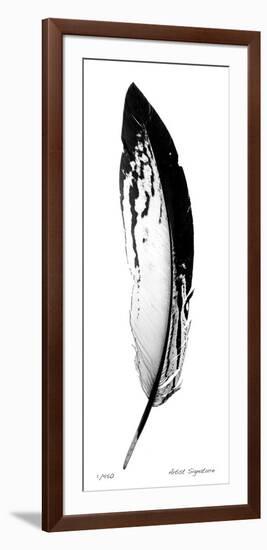 Feather I-Anthony Tahlier-Framed Giclee Print