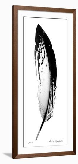 Feather I-Anthony Tahlier-Framed Giclee Print