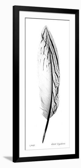 Feather II-Anthony Tahlier-Framed Giclee Print