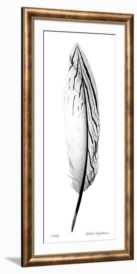 Feather II-Anthony Tahlier-Framed Giclee Print