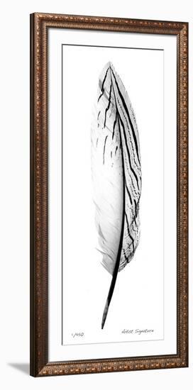 Feather II-Anthony Tahlier-Framed Giclee Print