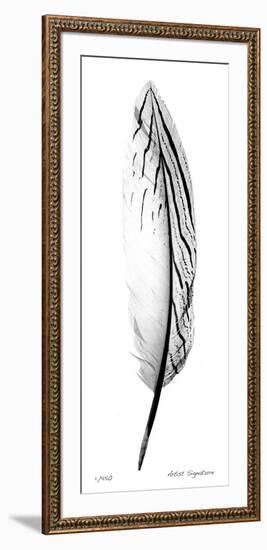 Feather II-Anthony Tahlier-Framed Giclee Print