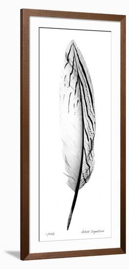 Feather II-Anthony Tahlier-Framed Giclee Print