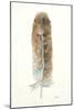 Feather II-Patti Mann-Mounted Art Print