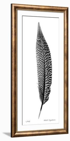Feather III-Anthony Tahlier-Framed Giclee Print