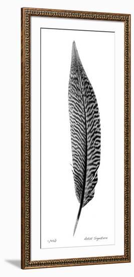 Feather III-Anthony Tahlier-Framed Giclee Print
