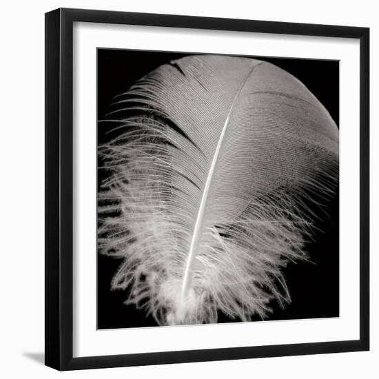 Feather III-Jim Christensen-Framed Photographic Print