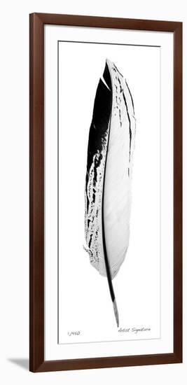Feather IV-Anthony Tahlier-Framed Giclee Print