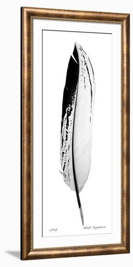 Feather IV-Anthony Tahlier-Framed Giclee Print