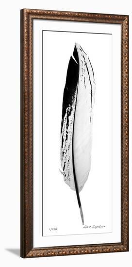 Feather IV-Anthony Tahlier-Framed Giclee Print