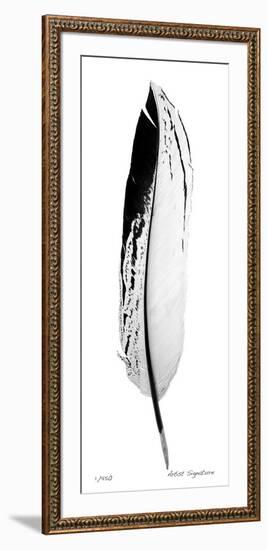 Feather IV-Anthony Tahlier-Framed Giclee Print