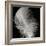 Feather IV-Jim Christensen-Framed Photographic Print