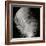 Feather IV-Jim Christensen-Framed Photographic Print