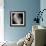 Feather IV-Jim Christensen-Framed Photographic Print displayed on a wall