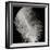 Feather IV-Jim Christensen-Framed Photographic Print