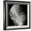 Feather IV-Jim Christensen-Framed Photographic Print
