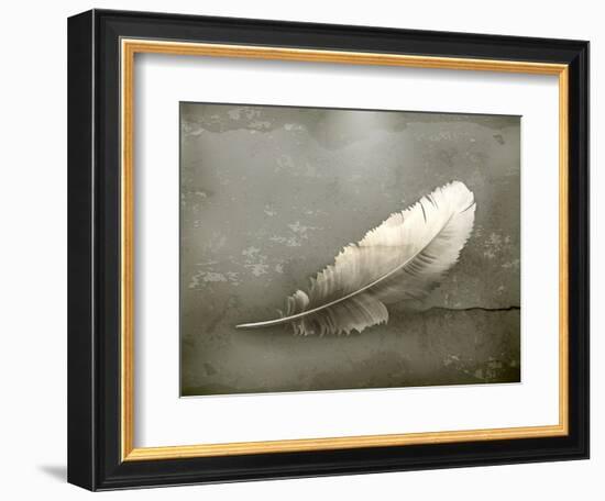 Feather, Old-Style-Nataliia Natykach-Framed Art Print