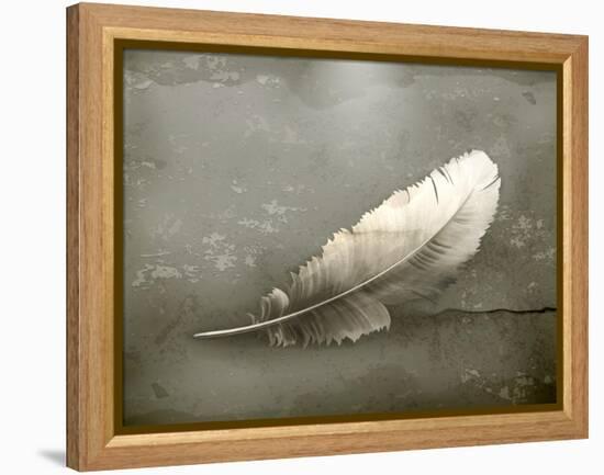 Feather, Old-Style-Nataliia Natykach-Framed Stretched Canvas