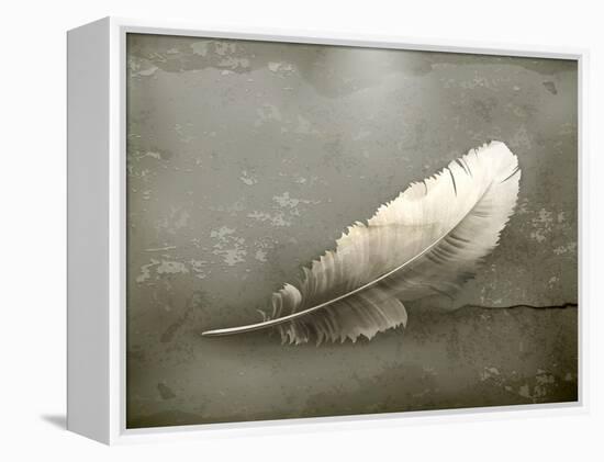 Feather, Old-Style-Nataliia Natykach-Framed Stretched Canvas