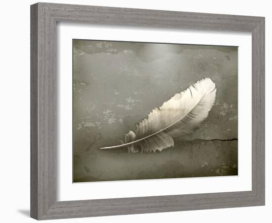 Feather, Old-Style-Nataliia Natykach-Framed Art Print