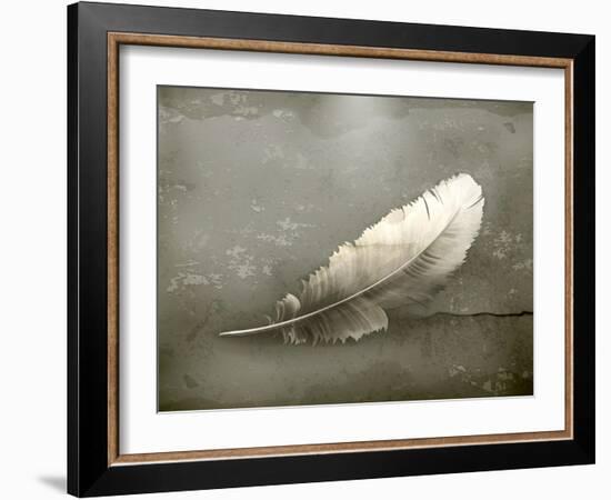 Feather, Old-Style-Nataliia Natykach-Framed Art Print