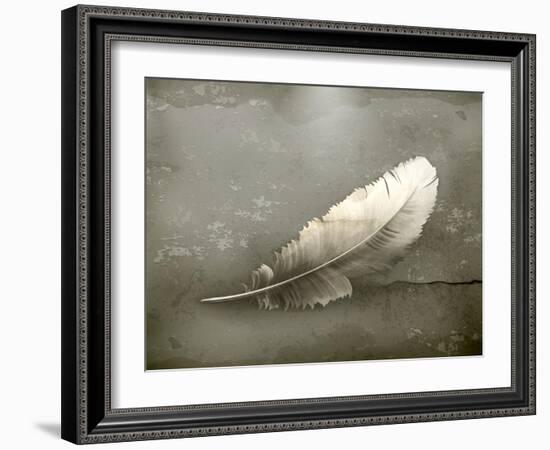 Feather, Old-Style-Nataliia Natykach-Framed Art Print