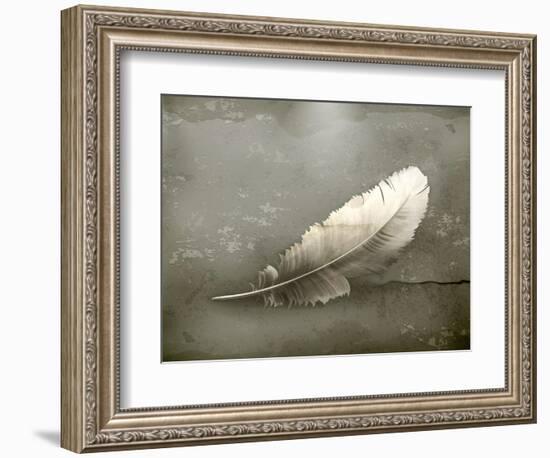 Feather, Old-Style-Nataliia Natykach-Framed Premium Giclee Print