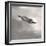 Feather on Liquid Sky-Nicholas Bell-Framed Photographic Print